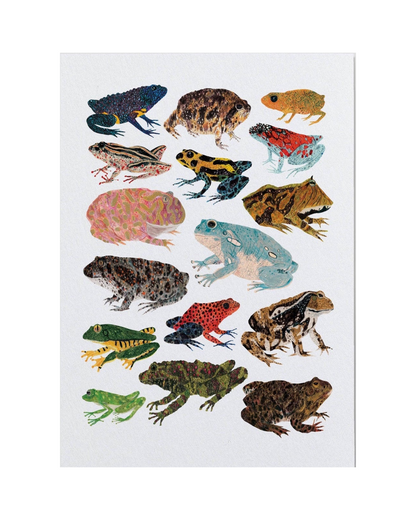 Frogs and Toads A3 Print