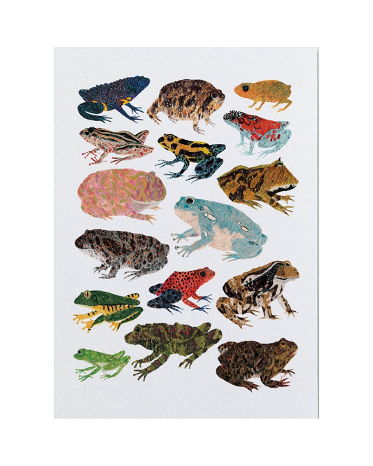 Frogs and Toads A3 Print
