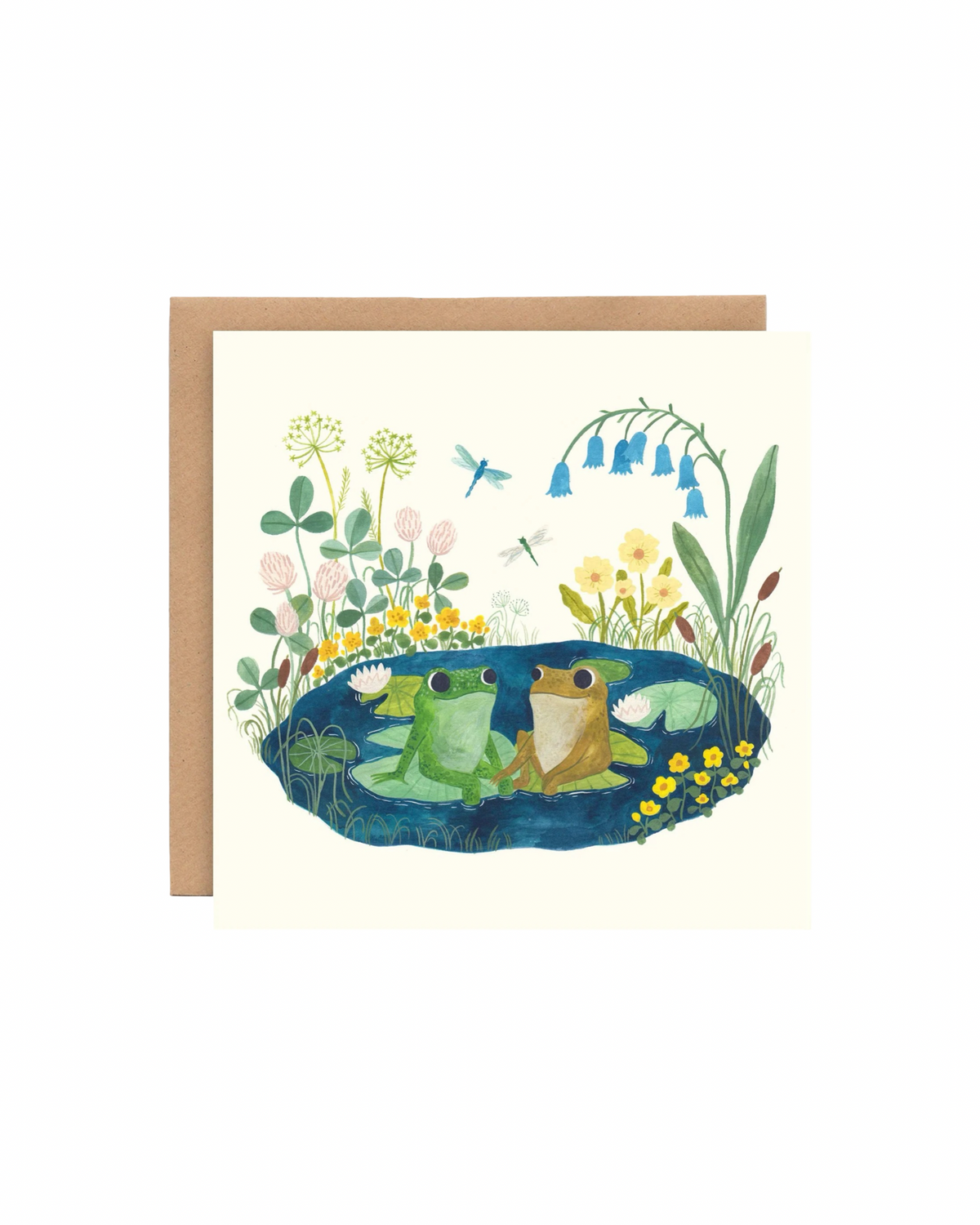 Frogs Card
