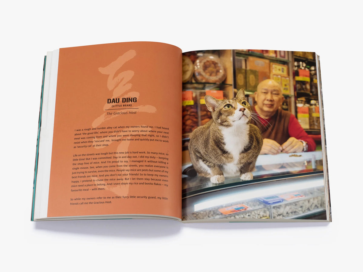 Shop Cats of Hong Kong