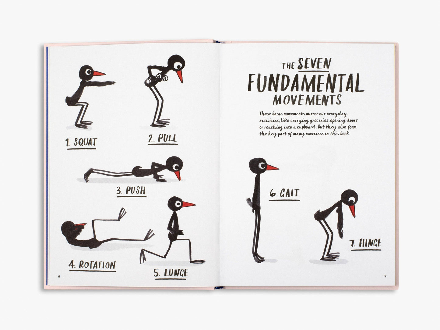 How to be a Fit Bird