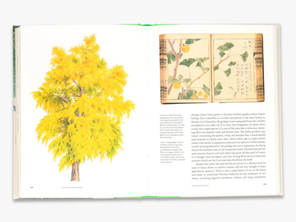 Remarkable Trees