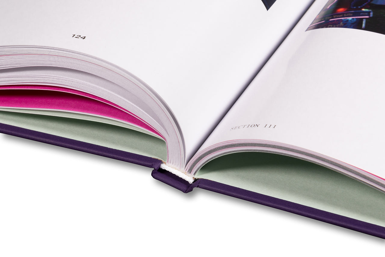 I Saw The TV Glow Screenplay Book