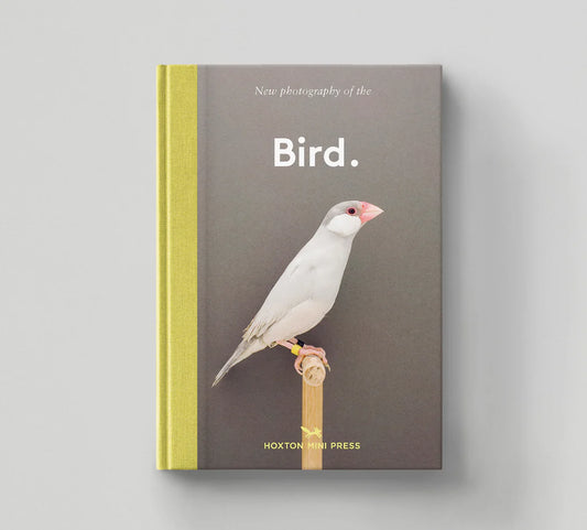 Bird: The Best New Photography of Birds