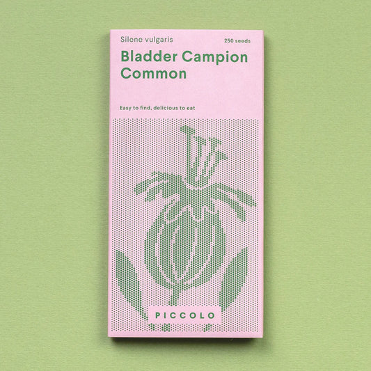 Common Bladder Campion Seeds