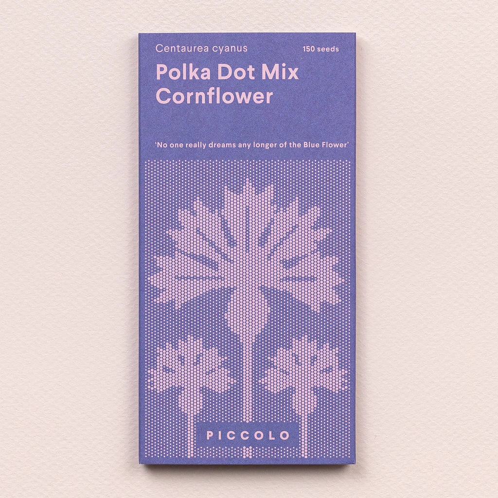 Polka Dot Mix Cornflower Seeds