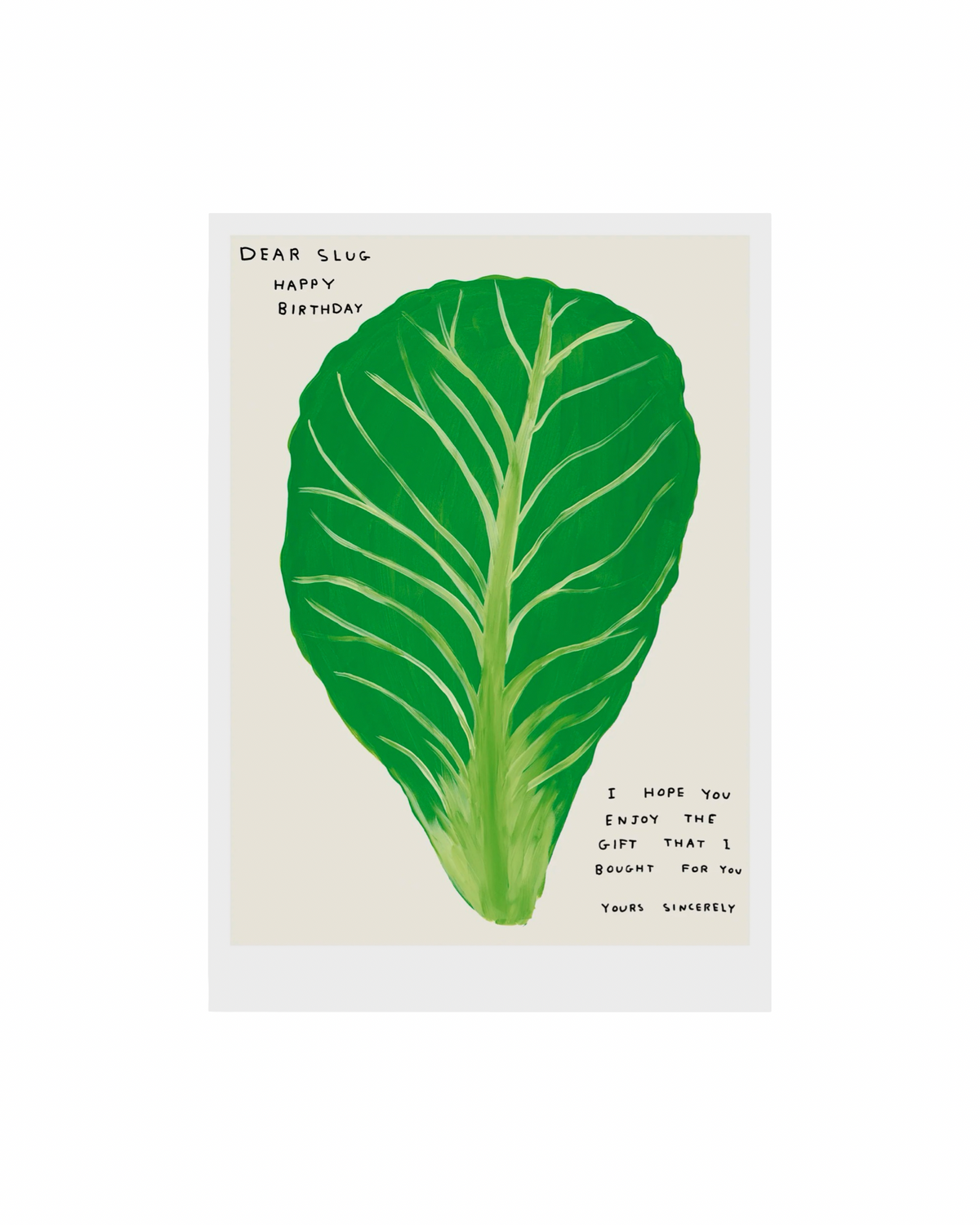 Dear Slug Happy Birthday (2020) / David Shrigley A5 Print