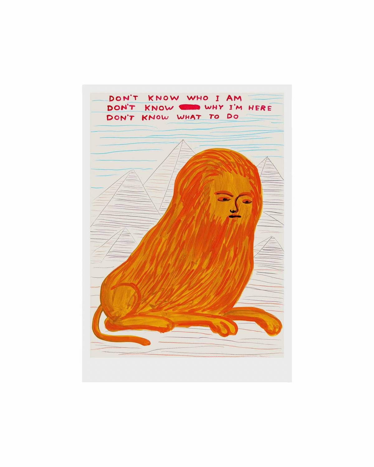Don’t Know (2025) / David Shrigley A5 Print