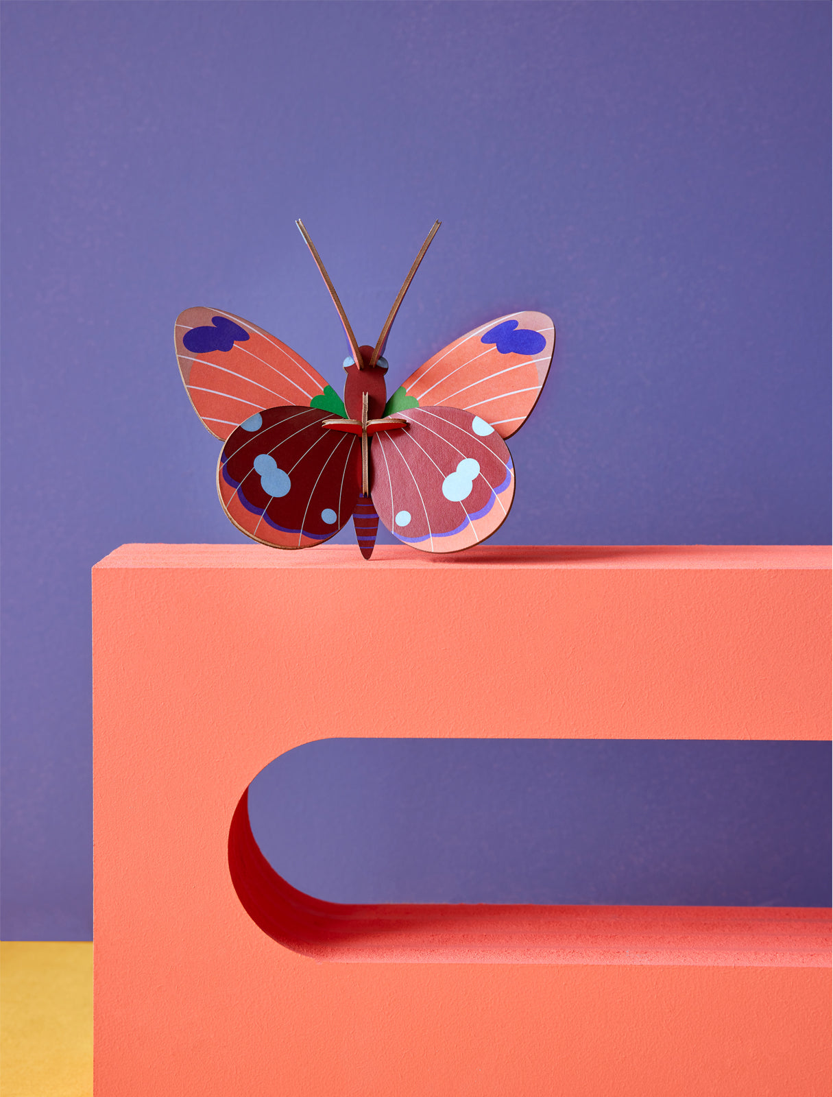 Studio ROOF Insects - Delias Butterfly