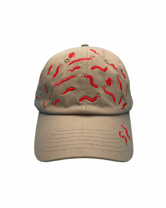 67 Centipedes Dad Hat