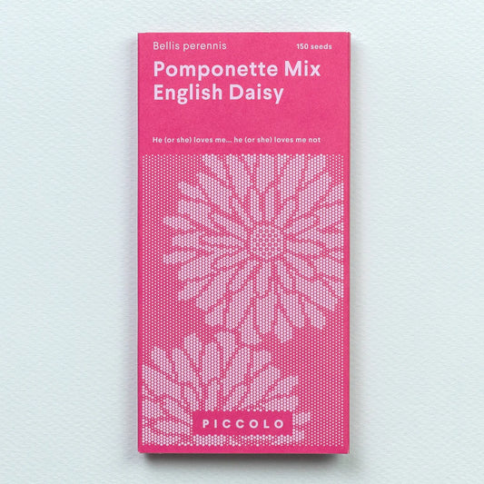 Pomponette Mix English Daisy Seeds