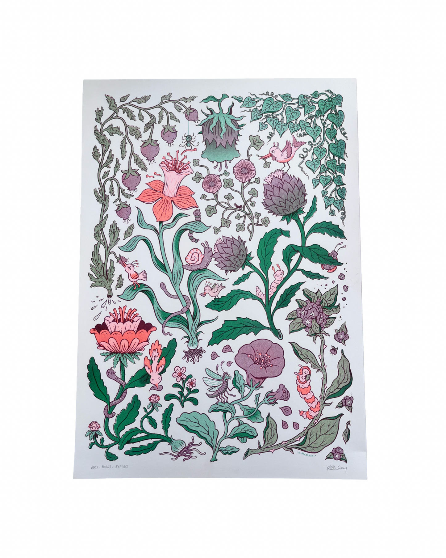 Bugs, Birds, Blooms A3 Riso Print