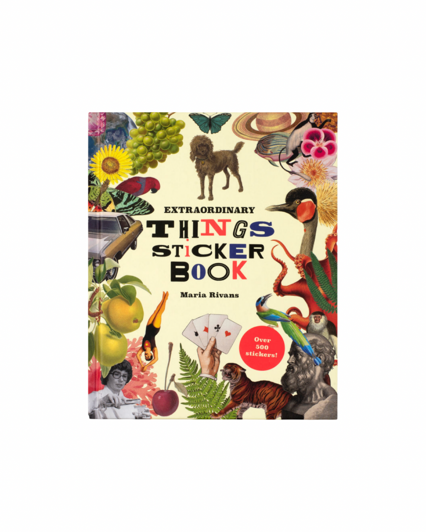 Extraordinary Things Sticker Book