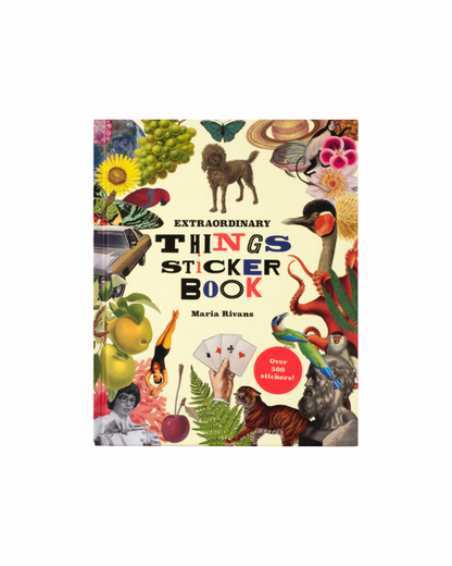 Extraordinary Things Sticker Book