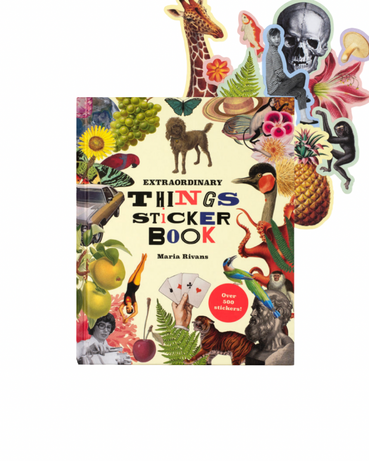 Extraordinary Things Sticker Book
