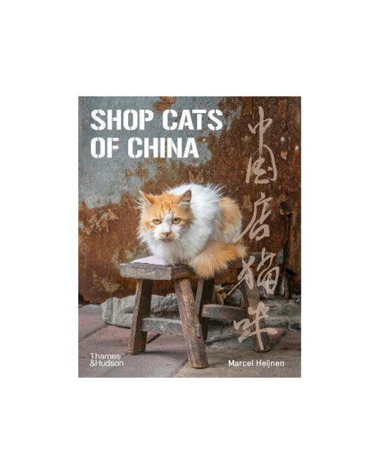 Shop Cats of China