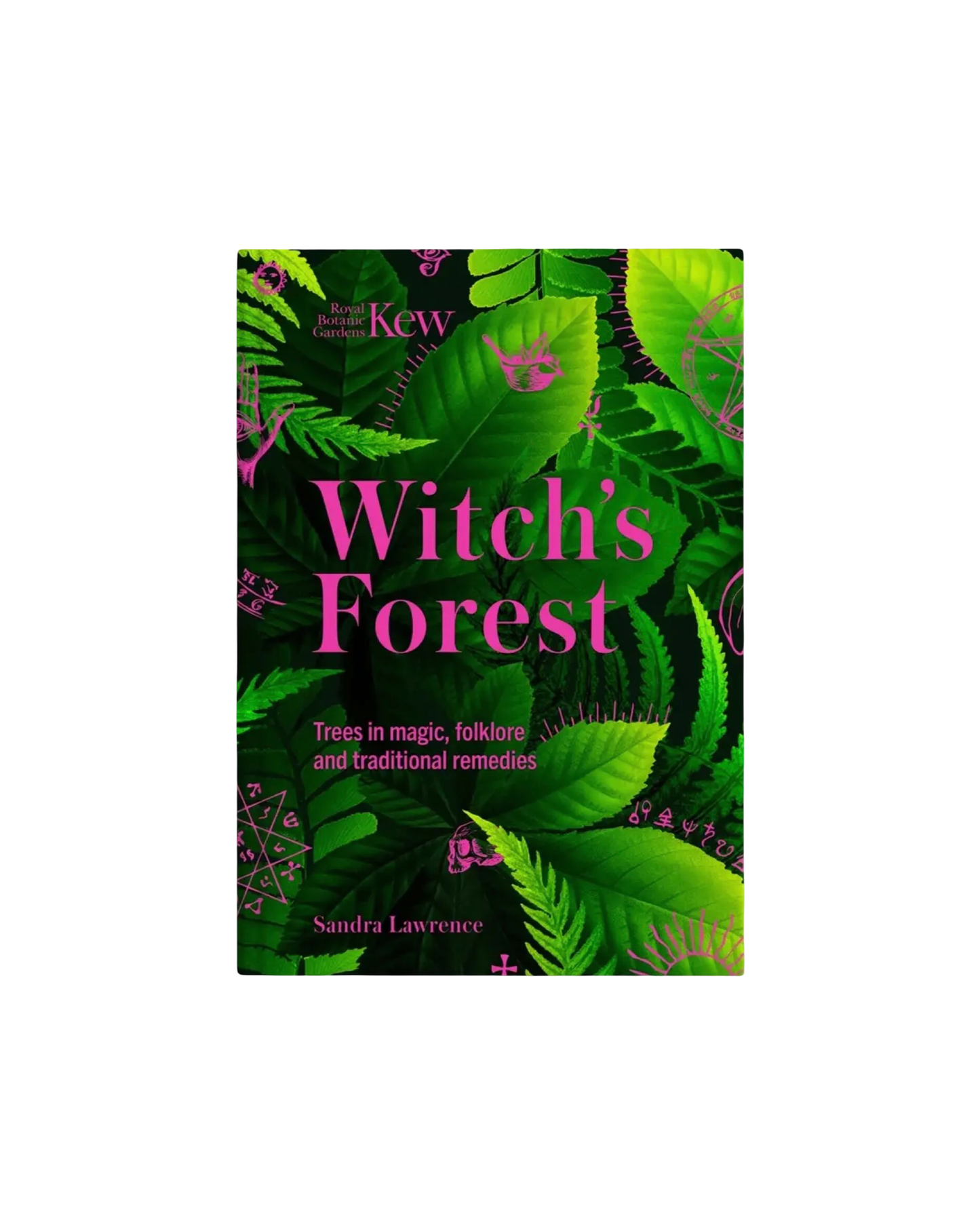 Witch's Forest