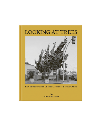 Looking at Trees