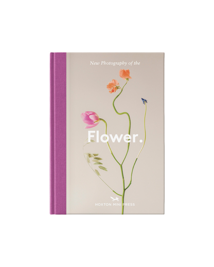 Flower.