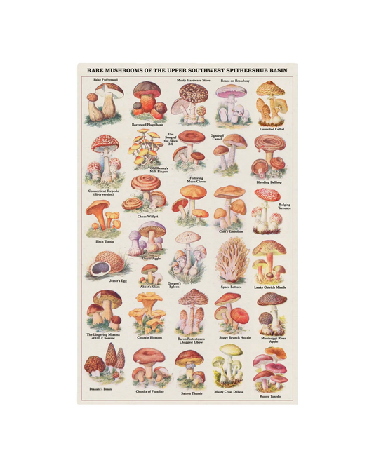 Rare Mushrooms Risograph Poster