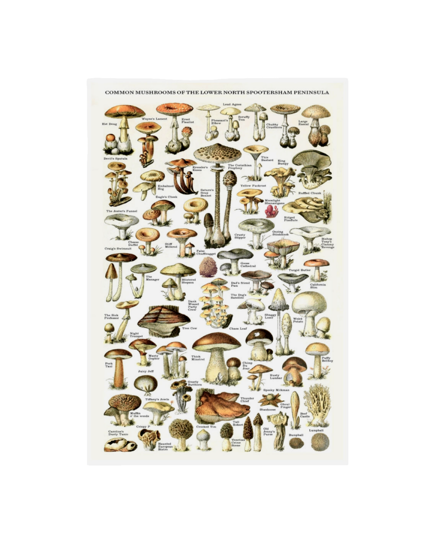 Common Mushrooms Risograph Print