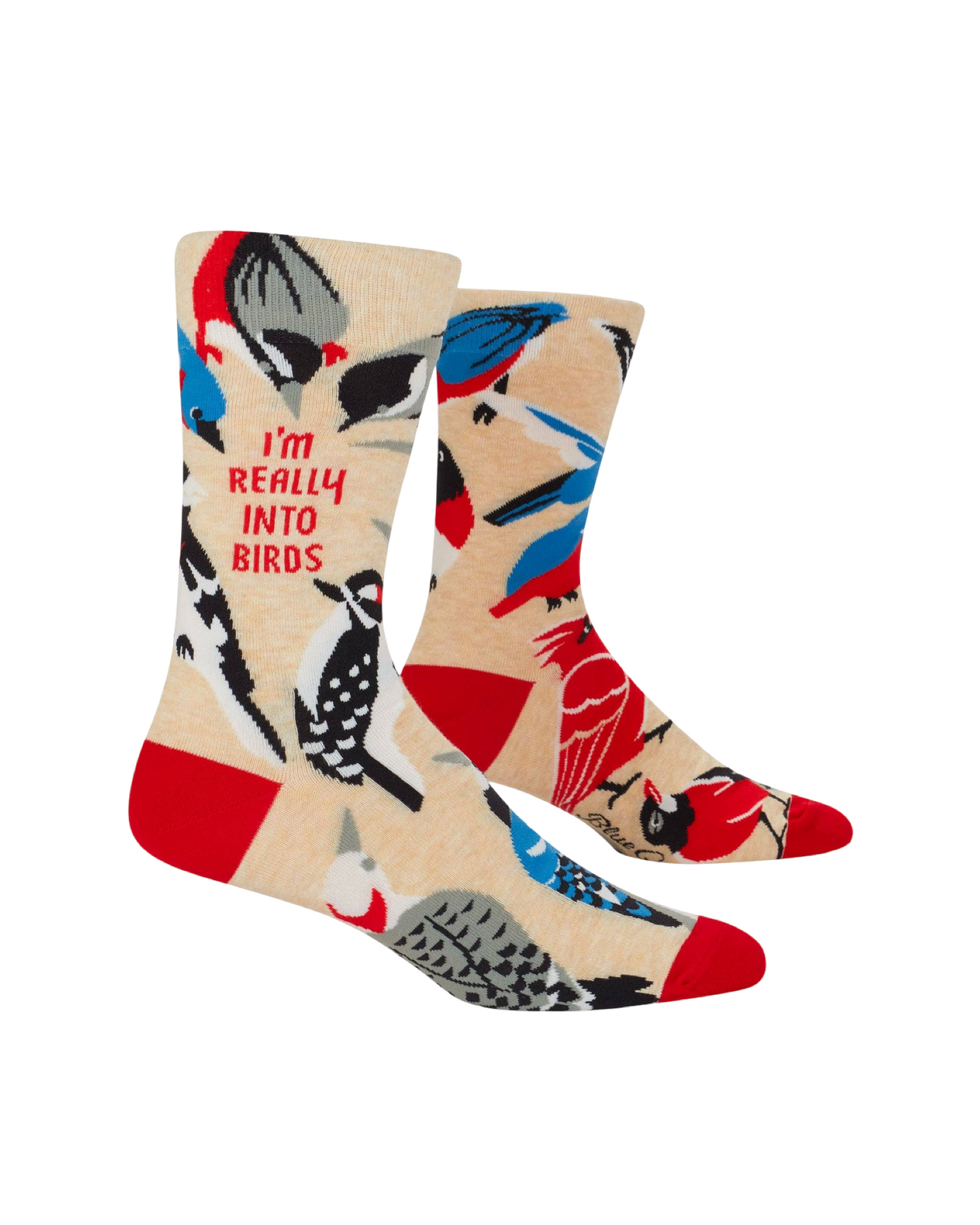 Really Into Birds Men's Socks