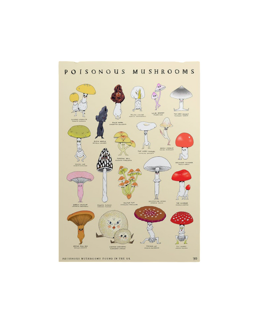 Poisonous Mushrooms A3 Print