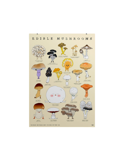 Edible Mushrooms A3 Print