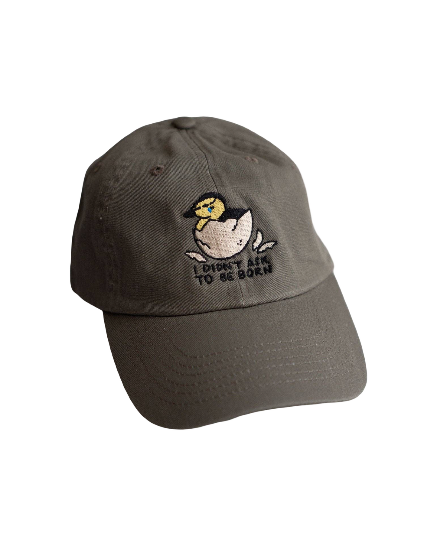 I Didn't Ask to be Born Dad Hat