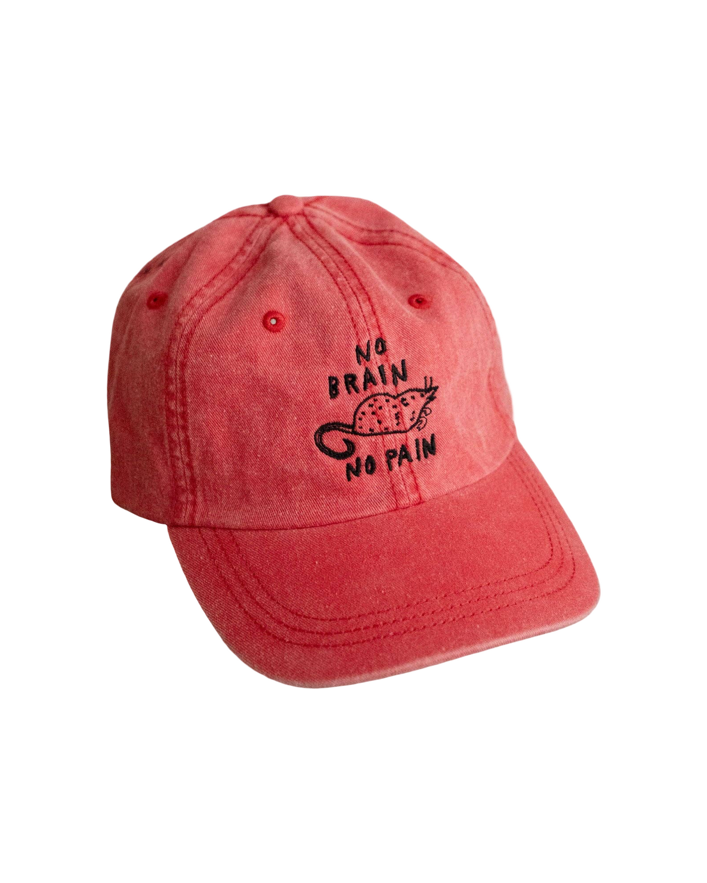 No Brain No Pain Hat