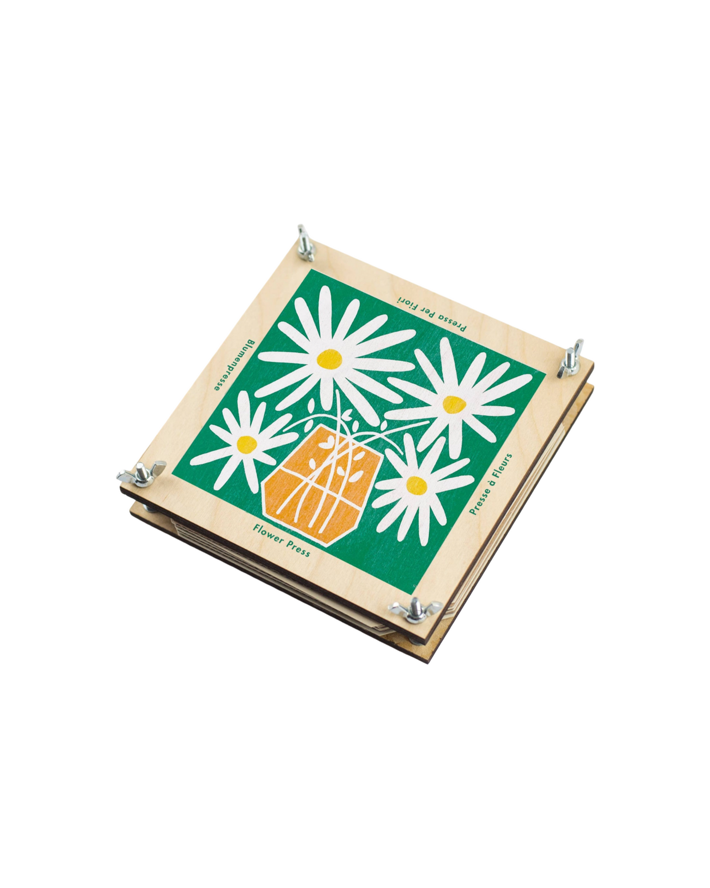 Flower Press / Daisy