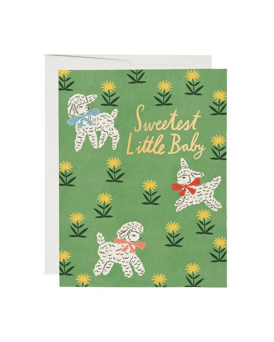 Little Lamb Card