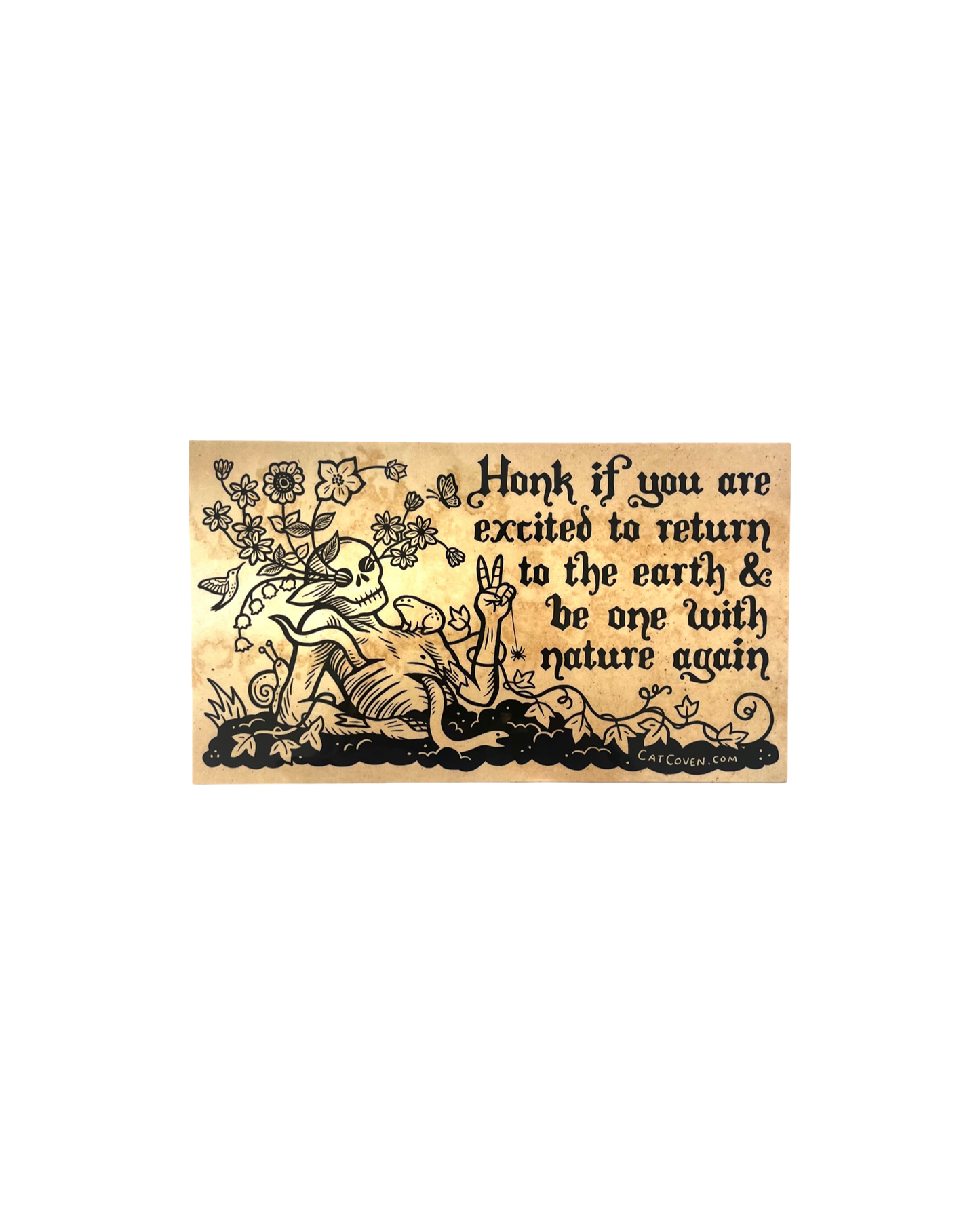 Cat Coven Bumper Stickers