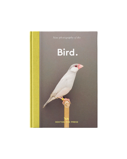 Bird.
