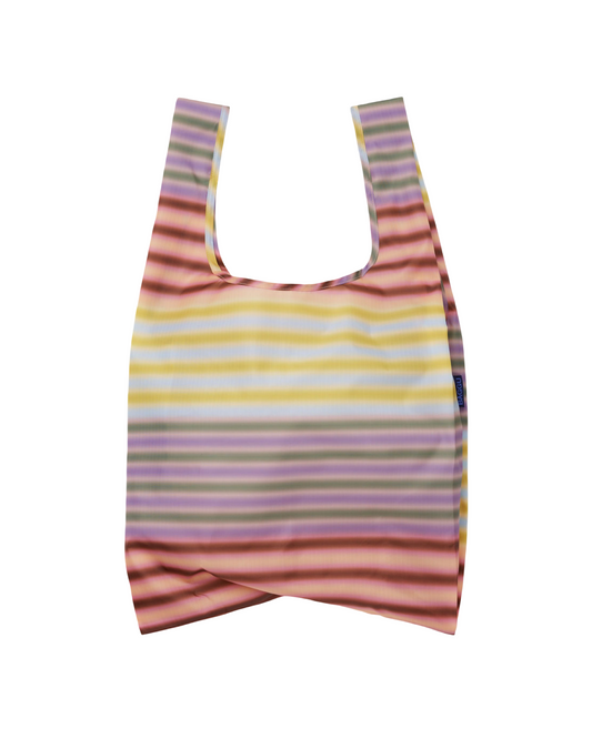 Standard Baggu : Multi Gradient Stripe