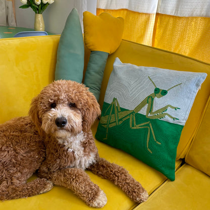 Praying Mantis at the Park Cushion Cover