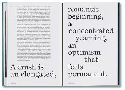 Ladybird Screenplay Book