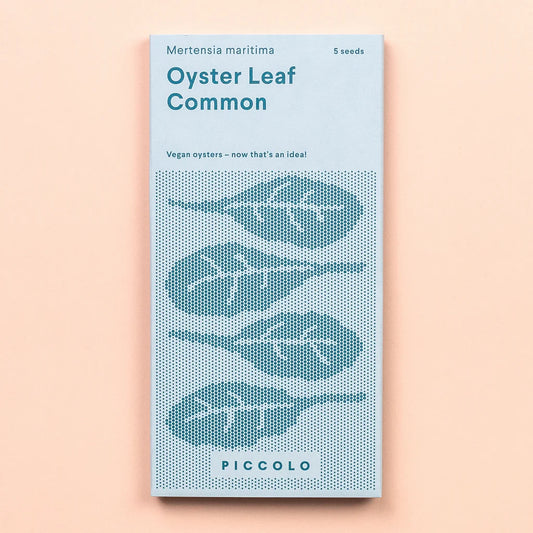 Common Oyster Leaf Seeds