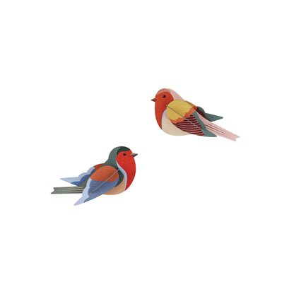 Studio Roof Robins