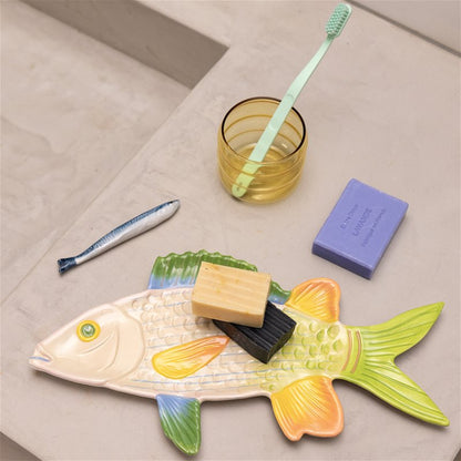 Trigger Fish Plate