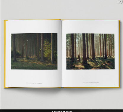 Looking at Trees