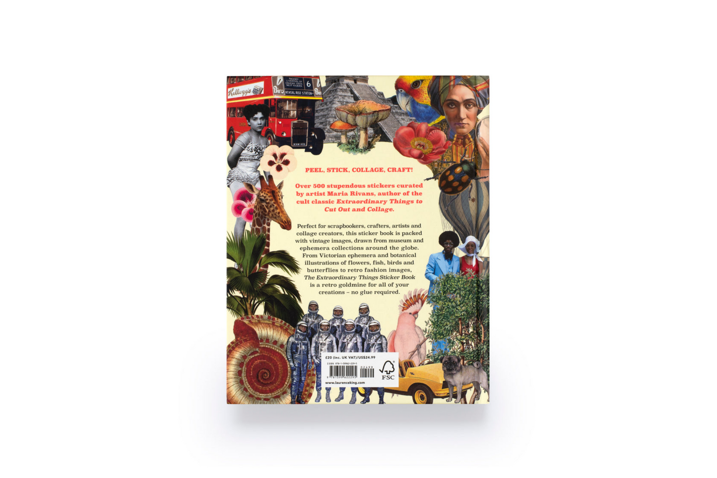 Extraordinary Things Sticker Book