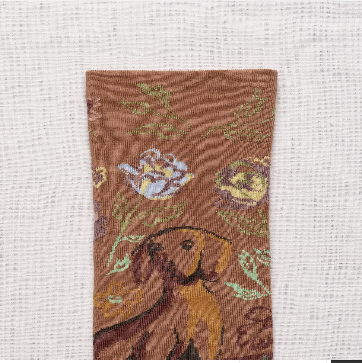 Caramel Dogs Socks