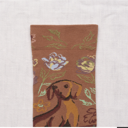 Caramel Dogs Socks