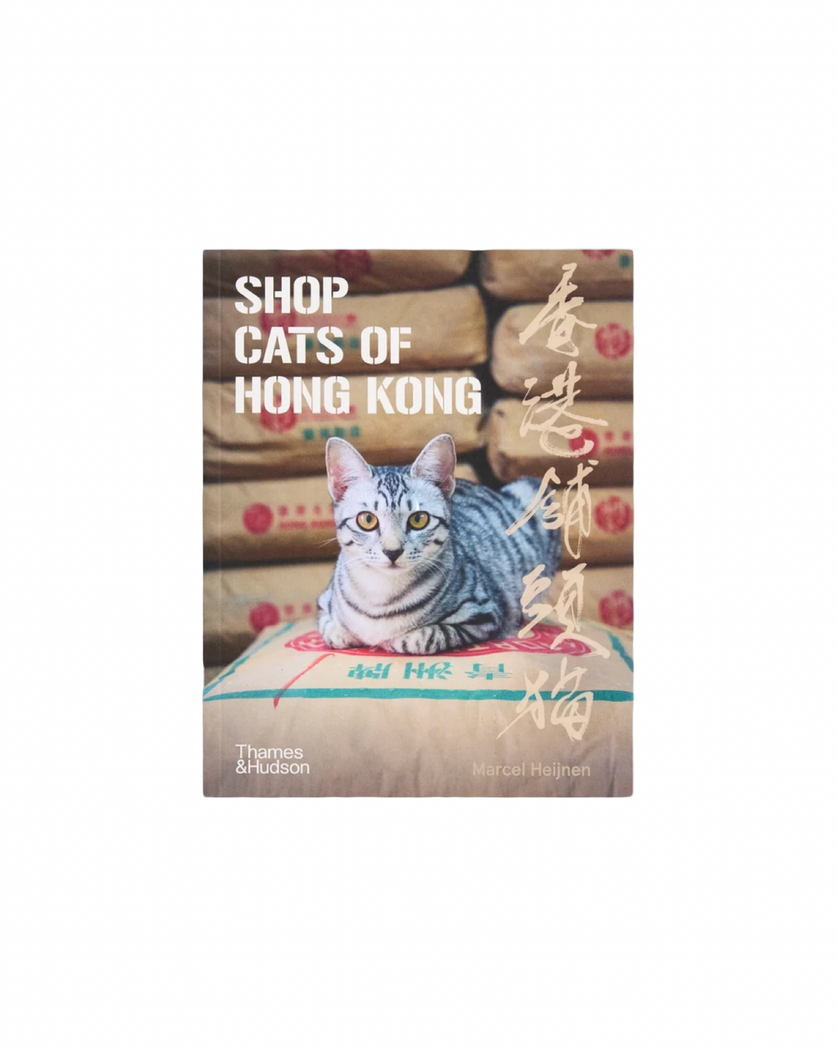 Shop Cats of Hong Kong