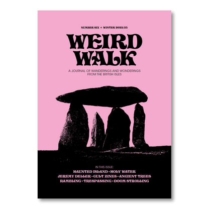 Weird Walk Zine