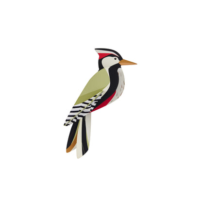 Studio Roof Woodpecker