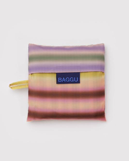 Standard Baggu : Multi Gradient Stripe