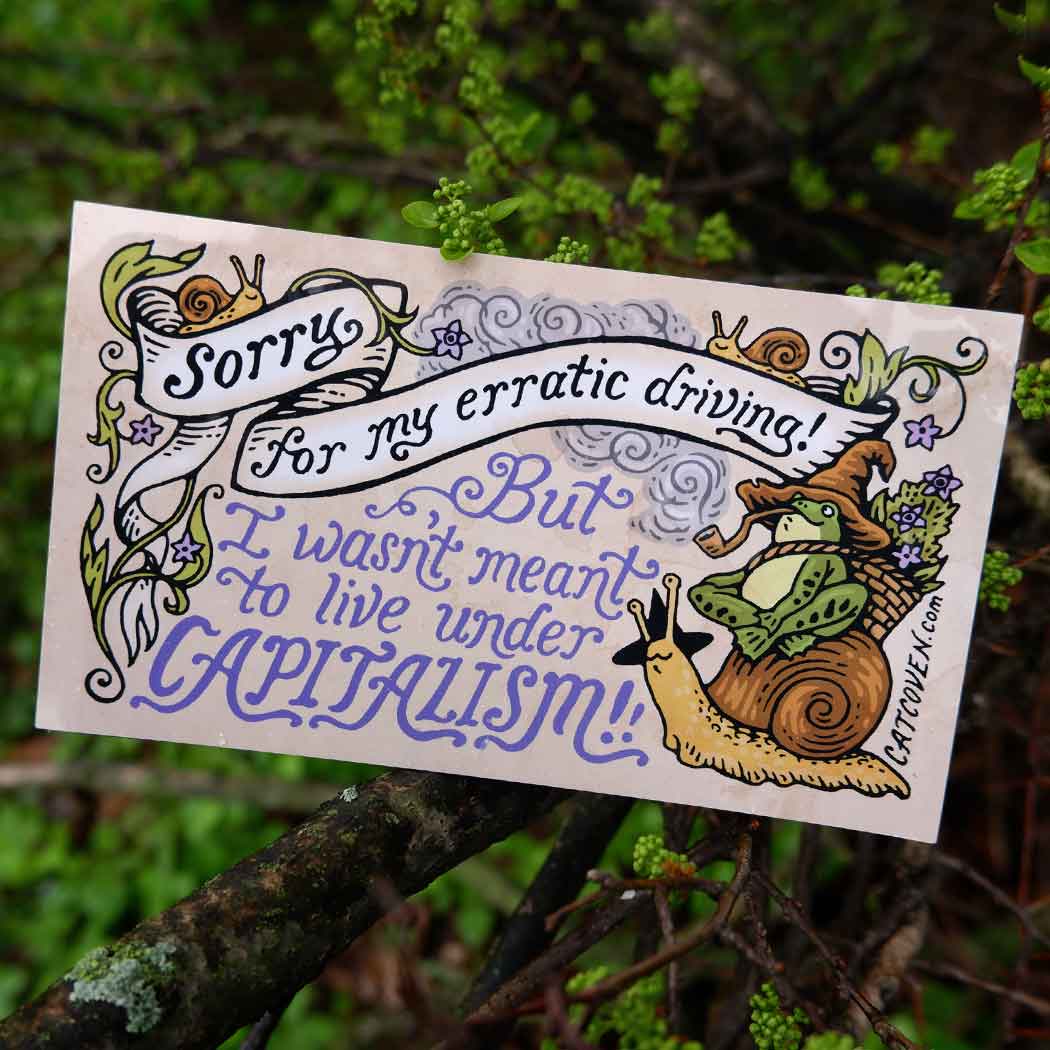 Cat Coven Bumper Stickers