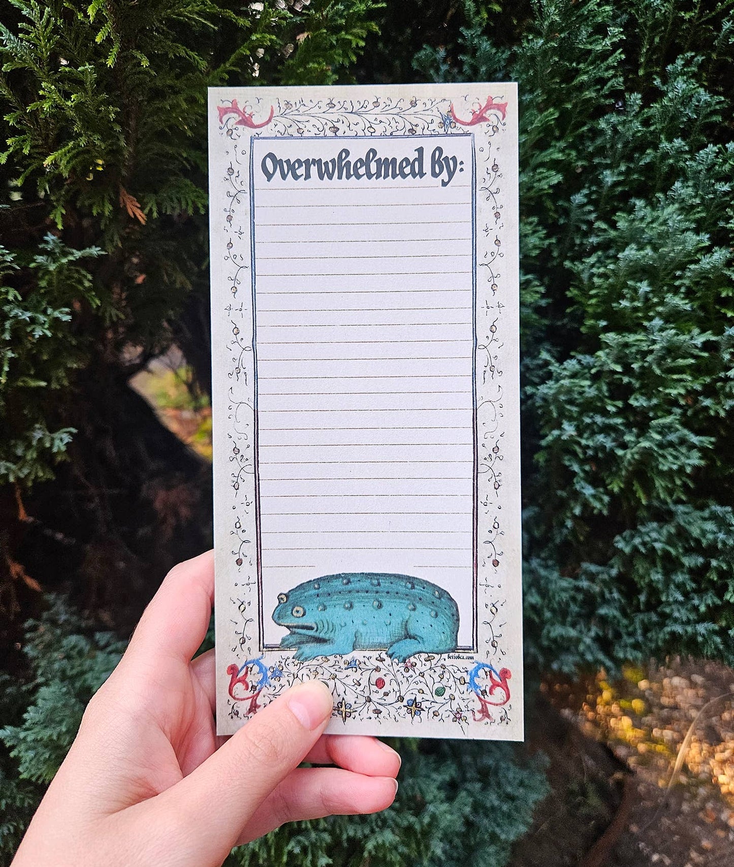 Overwhelmed Medieval Frog Notepad